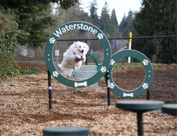 A dog agility course with a sign that reads "Waterstone" and a dog jumping over a hurdle.